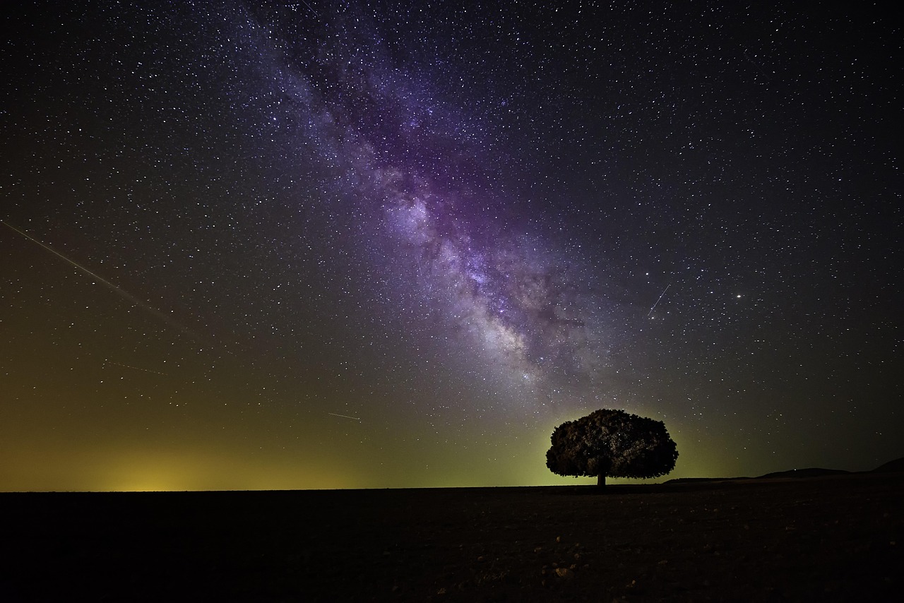 【2026年版】星空・天体撮影におすすめのレンズ