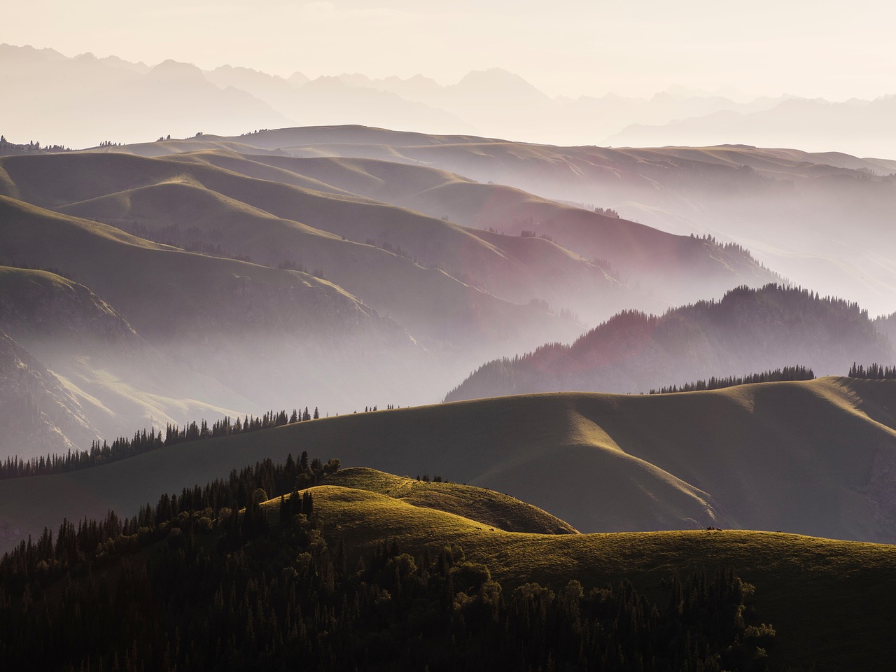 【2026年版】風景撮影におすすめの広角レンズ