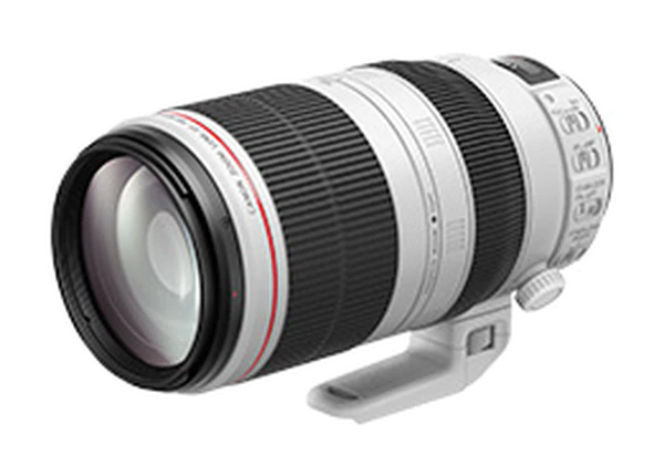 EF100-400mm F4.5-5.6L IS II USM
