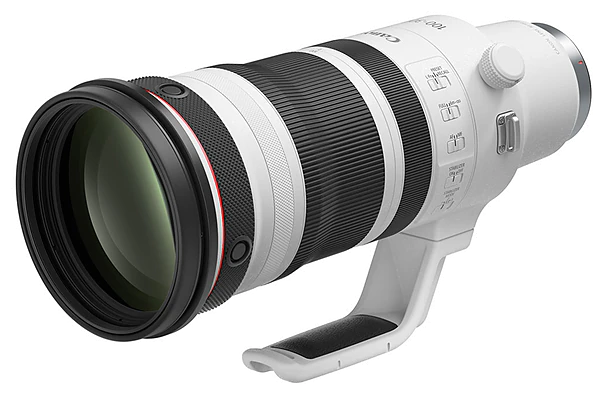 RF100-300mm F2.8 L IS USM