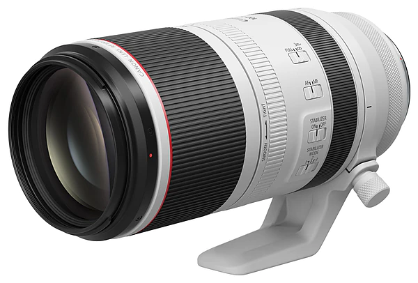 RF100-500mm F4.5-7.1 L IS USM